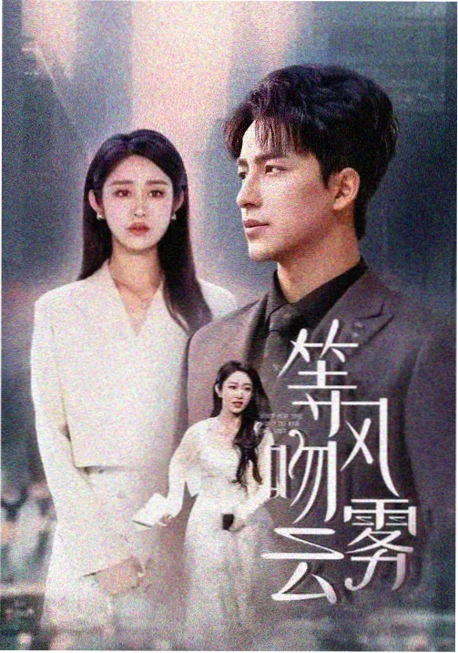 无声电台 冷门高分悬疑剧集